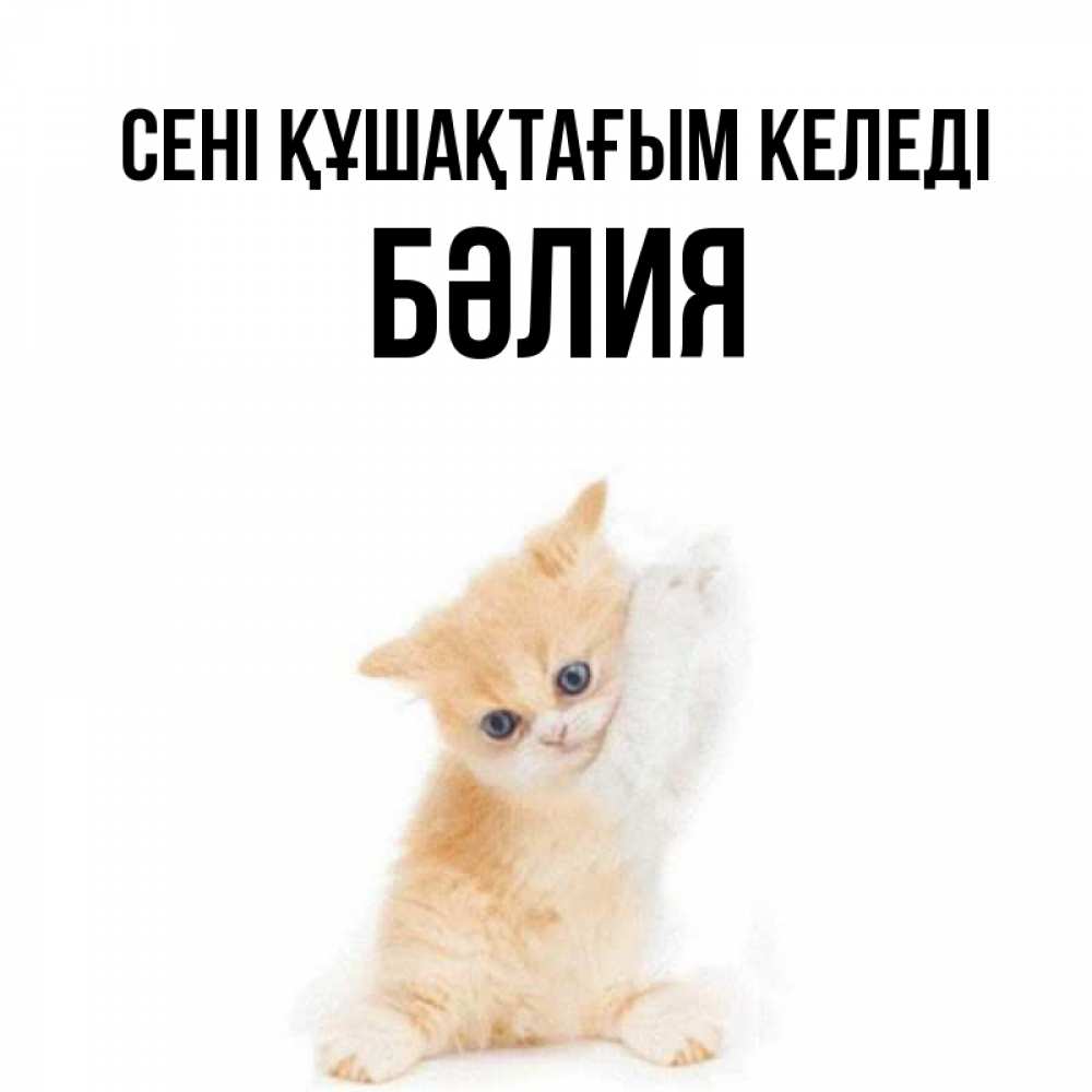 Күн сайын ашық хат с именем, БӘЛИЯ сені құшақтағым келеді я хочу очень скорее обнимаешек Онлайн тегін жүктеп алу тілектері бар керемет карта 