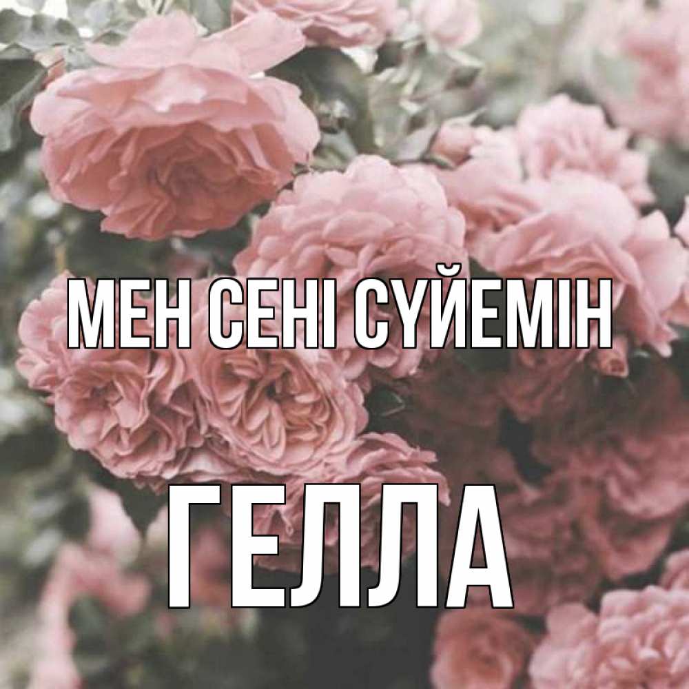 Күн сайын ашық хат с именем, Гелла Мен сені сүйемін розы 3 Онлайн тегін жүктеп алу тілектері бар керемет карта 