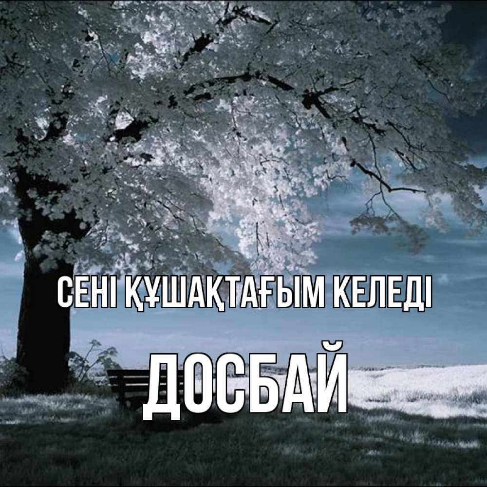 Күн сайын ашық хат с именем, Досбай сені құшақтағым келеді дерево Онлайн тегін жүктеп алу тілектері бар керемет карта 