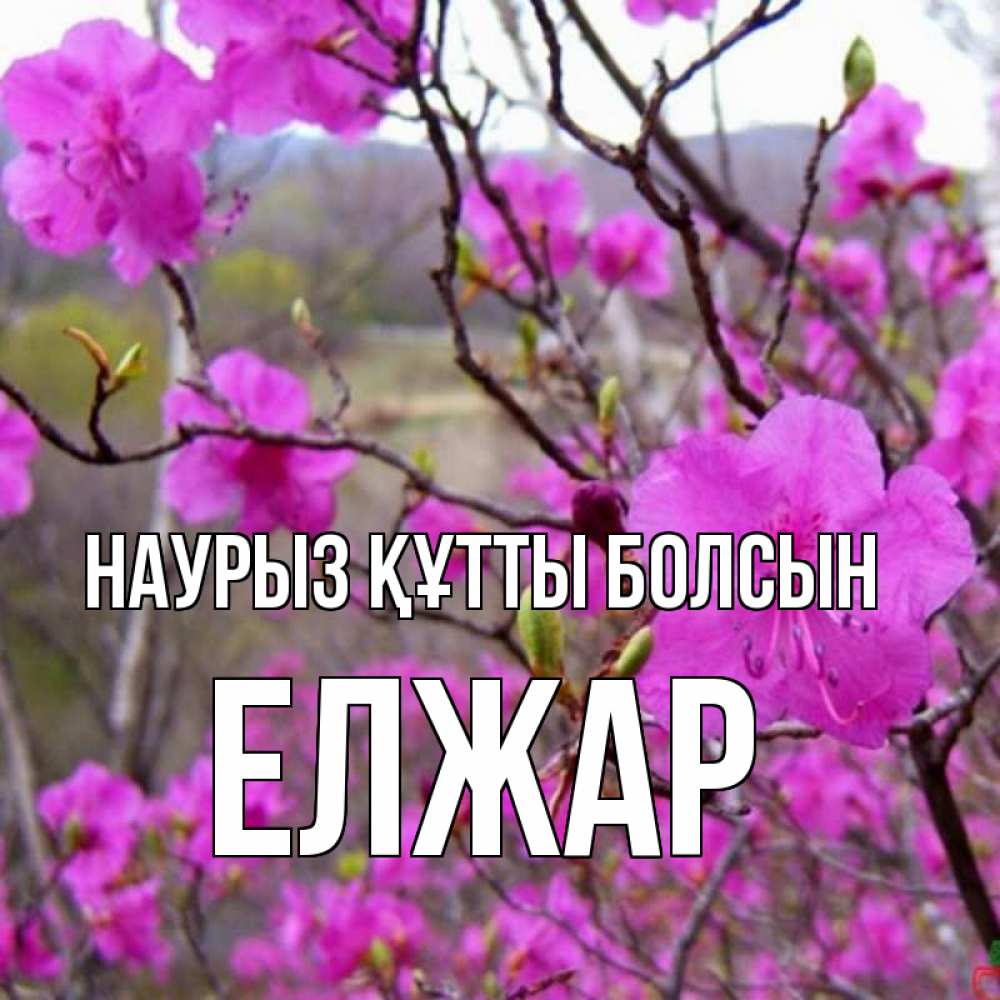 Күн сайын ашық хат с именем, Елжар Наурыз құтты болсын наурыз мейрамы кутты болсын Онлайн тегін жүктеп алу тілектері бар керемет карта 