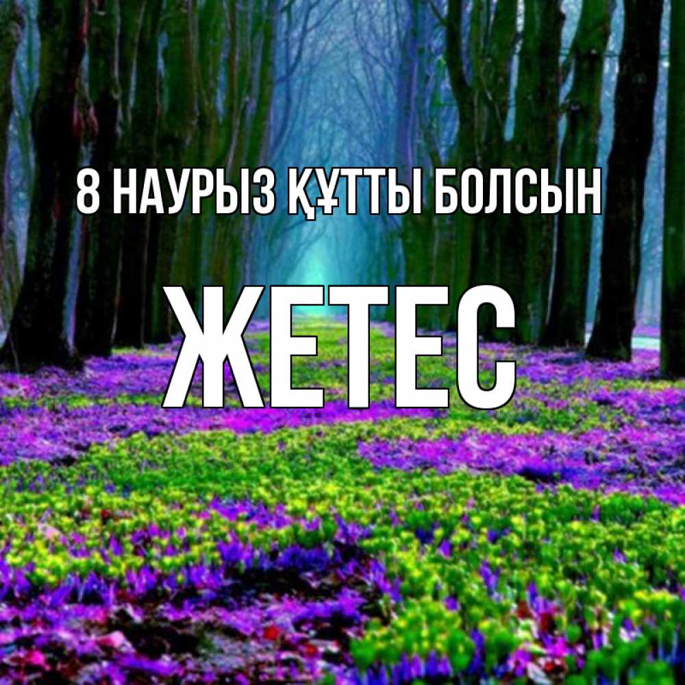 Күн сайын ашық хат с именем, Жетес 8 наурыз құтты болсын фиолетовые цветы в лесу 1 Онлайн тегін жүктеп алу тілектері бар керемет карта 