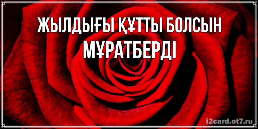 Күн сайын ашық хат с именем, Мұратберді Жылдығы құтты болсын алая роза Онлайн тегін жүктеп алу тілектері бар керемет карта 