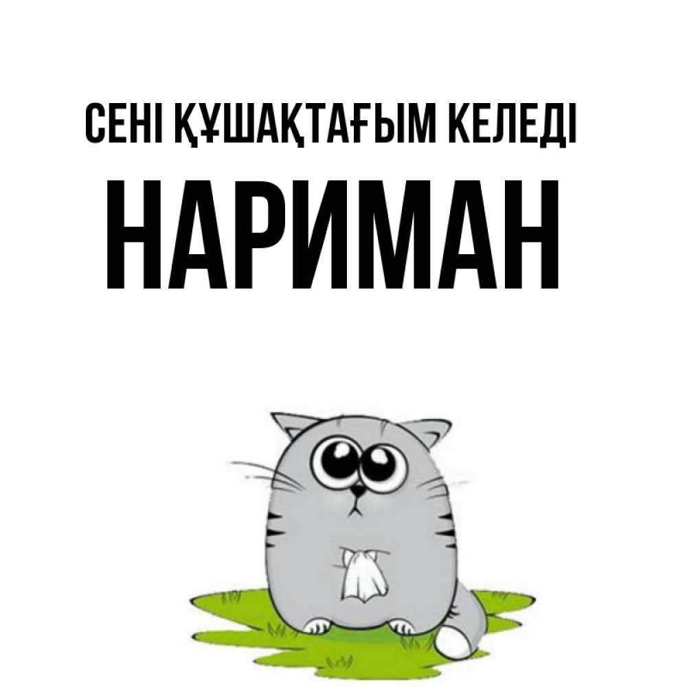 Күн сайын ашық хат с именем, НАРИМАН сені құшақтағым келеді котик теребит платочек сидя на травке Онлайн тегін жүктеп алу тілектері бар керемет карта 
