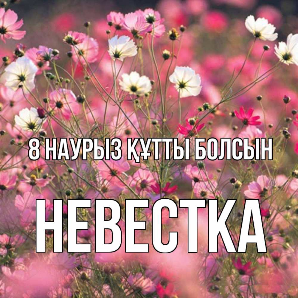 Күн сайын ашық хат с именем, Невестка 8 наурыз құтты болсын красиво 1 Онлайн тегін жүктеп алу тілектері бар керемет карта 