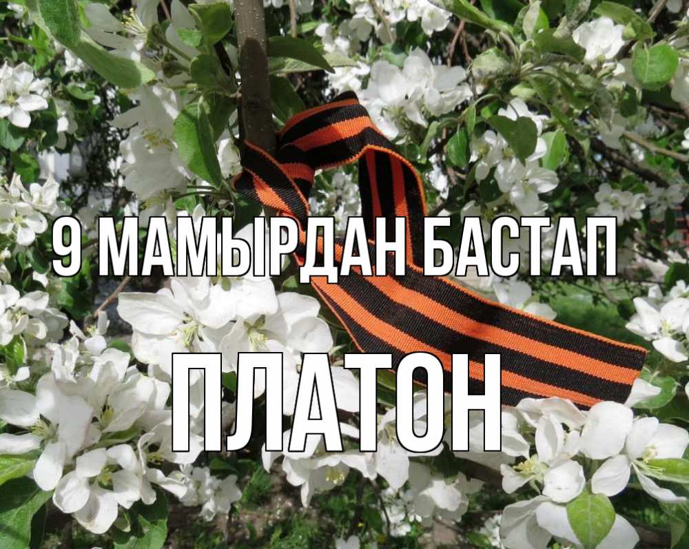 Күн сайын ашық хат с именем, Платон 9 мамырдан бастап 9 мая Онлайн тегін жүктеп алу тілектері бар керемет карта 