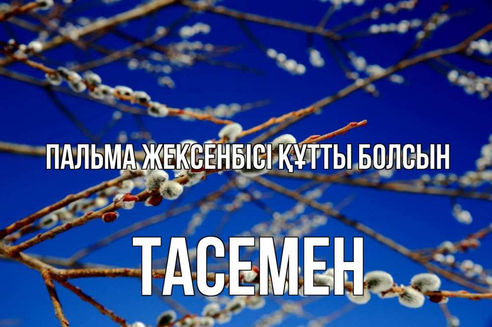 Күн сайын ашық хат с именем, ТАСЕМЕН Пальма жексенбісі құтты болсын верба Онлайн тегін жүктеп алу тілектері бар керемет карта 
