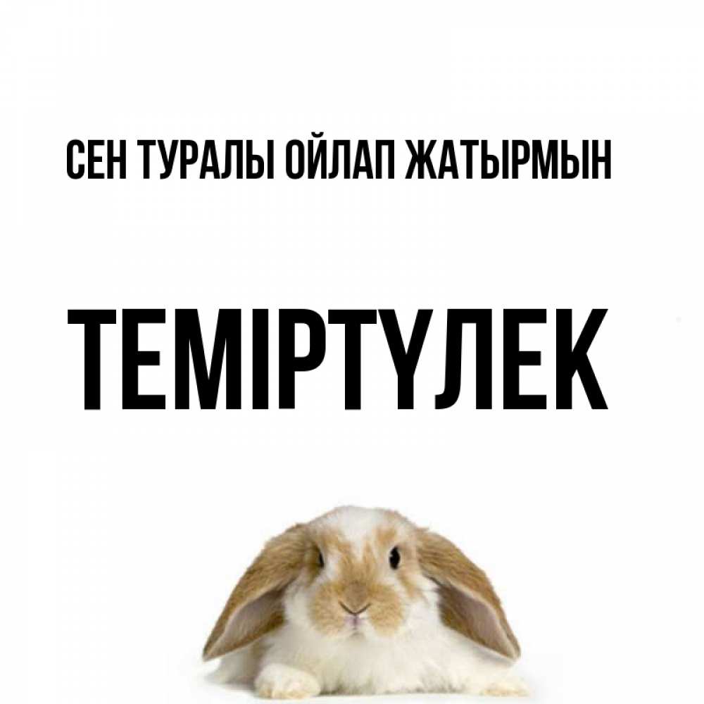 Күн сайын ашық хат с именем, ТЕМІРТҮЛЕК Сен туралы ойлап жатырмын подписать своими руками онлайн Онлайн тегін жүктеп алу тілектері бар керемет карта 