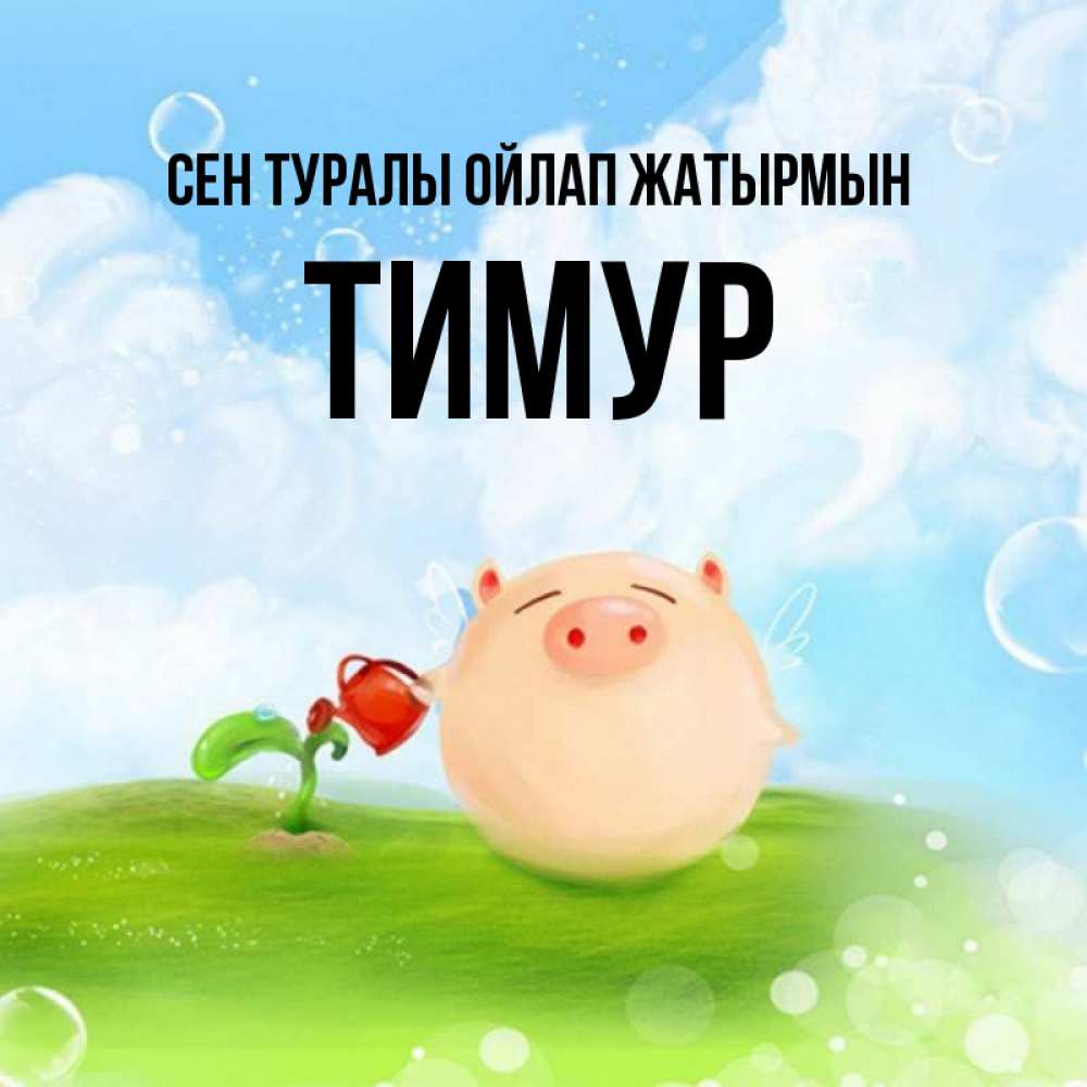 Күн сайын ашық хат с именем, Тимур Сен туралы ойлап жатырмын позитивная свинюшка Онлайн тегін жүктеп алу тілектері бар керемет карта 