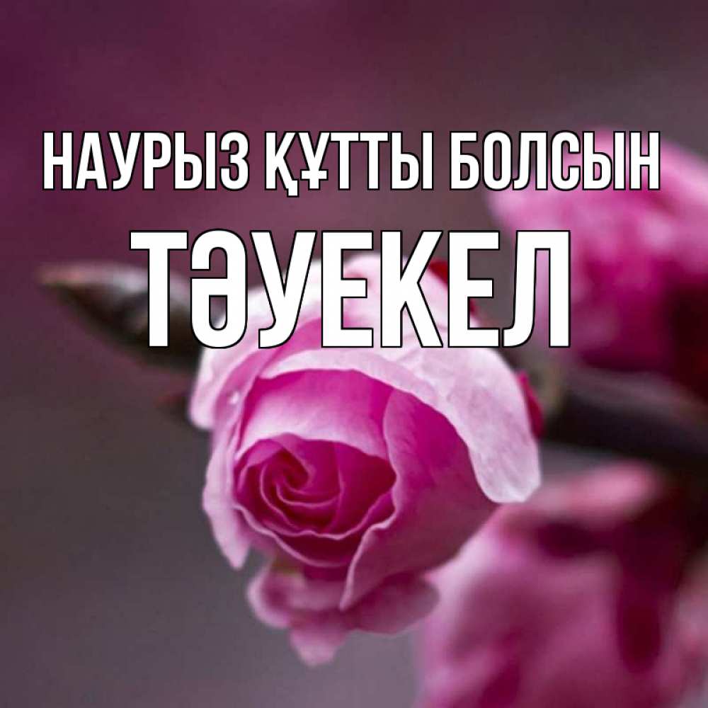 Күн сайын ашық хат с именем, ТӘУЕКЕЛ Наурыз құтты болсын весна Онлайн тегін жүктеп алу тілектері бар керемет карта 
