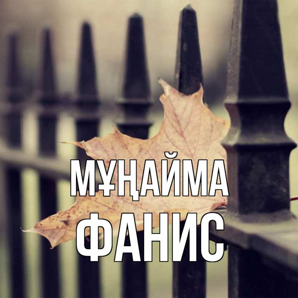 Күн сайын ашық хат с именем, Фанис Мұңайма лист клена Онлайн тегін жүктеп алу тілектері бар керемет карта 
