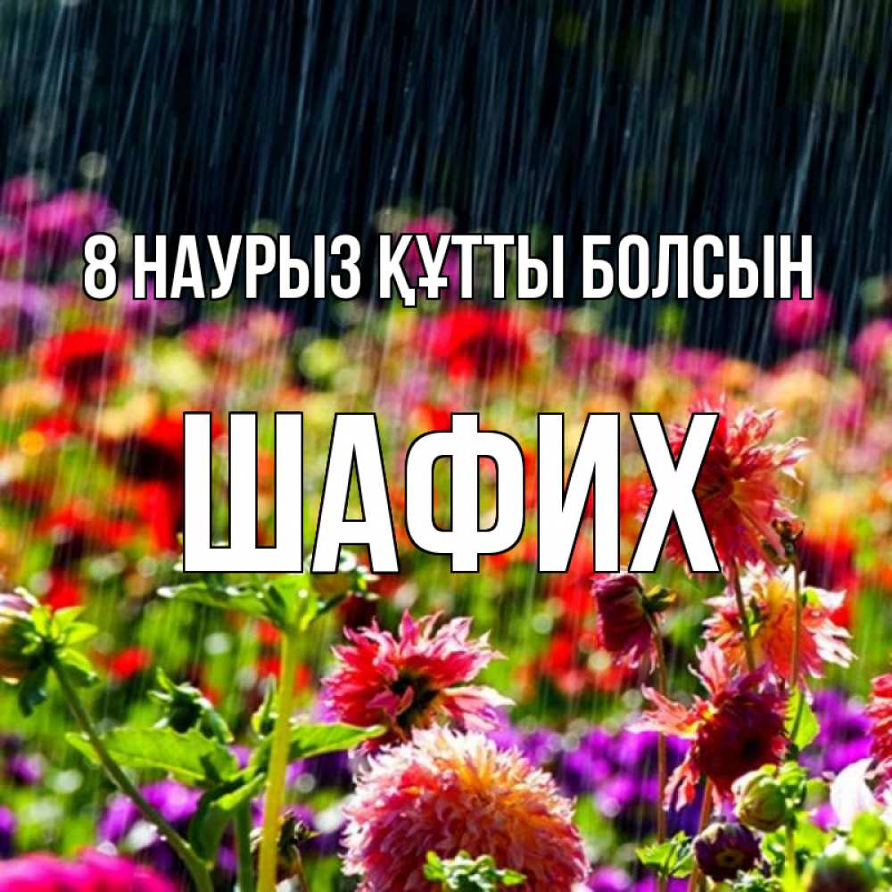 Күн сайын ашық хат с именем, ШАФИХ 8 наурыз құтты болсын цветы под дождиком к международному женскому дню Онлайн тегін жүктеп алу тілектері бар керемет карта 