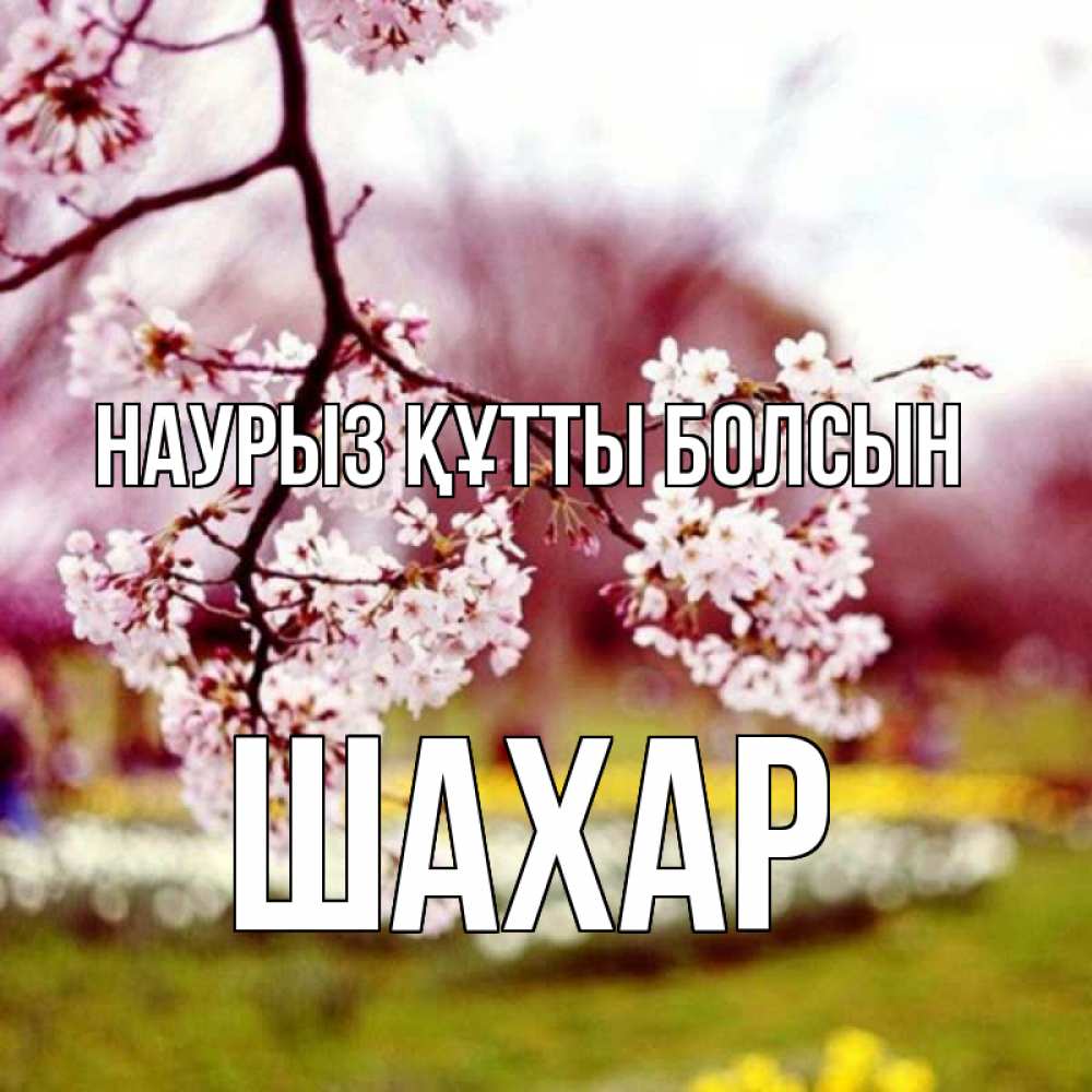 Күн сайын ашық хат с именем, ШАХАР Наурыз құтты болсын яблоня Онлайн тегін жүктеп алу тілектері бар керемет карта 