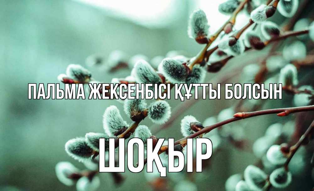 Күн сайын ашық хат с именем, ШОҚЫР Пальма жексенбісі құтты болсын верба Онлайн тегін жүктеп алу тілектері бар керемет карта 
