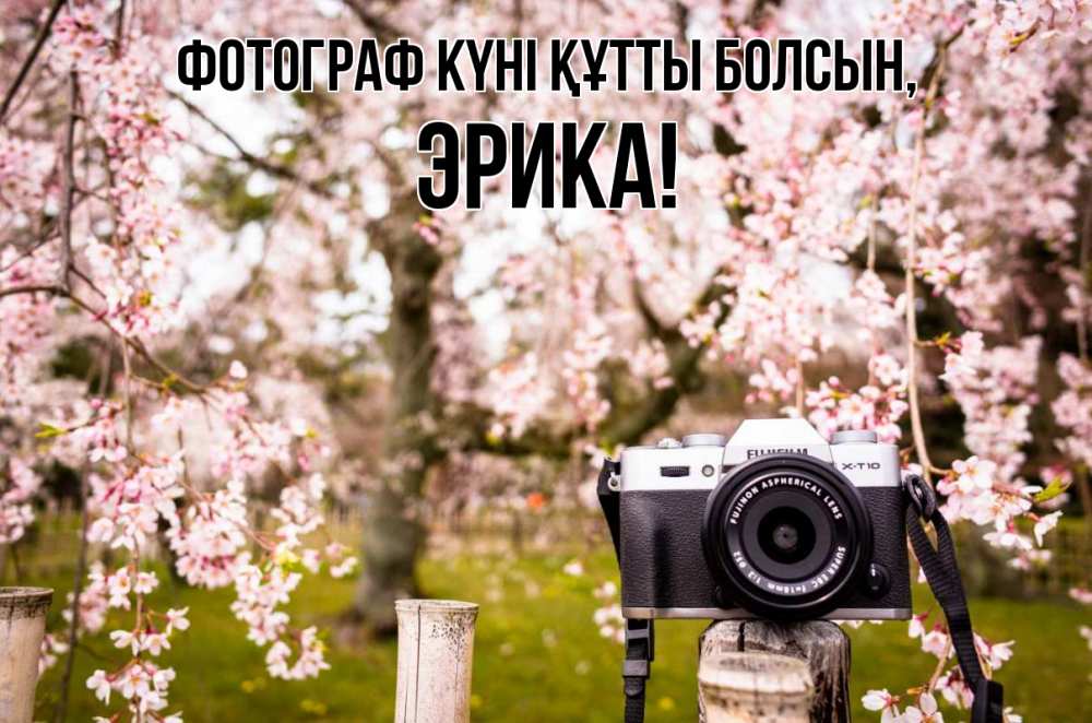 Күн сайын ашық хат с именем, Эрика Фотограф күні құтты болсын сирень с днем фотографа, фотоаппарат Онлайн тегін жүктеп алу тілектері бар керемет карта 