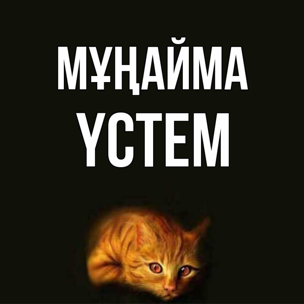 Күн сайын ашық хат с именем, ҮСТЕМ Мұңайма лежащий кот в темноте Онлайн тегін жүктеп алу тілектері бар керемет карта 