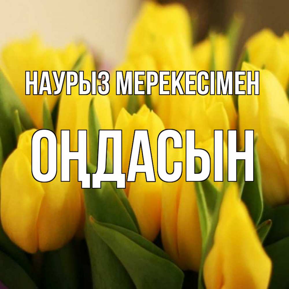 Күн сайын ашық хат с именем, ОҢДАСЫН Наурыз мерекесімен цветы Онлайн тегін жүктеп алу тілектері бар керемет карта 
