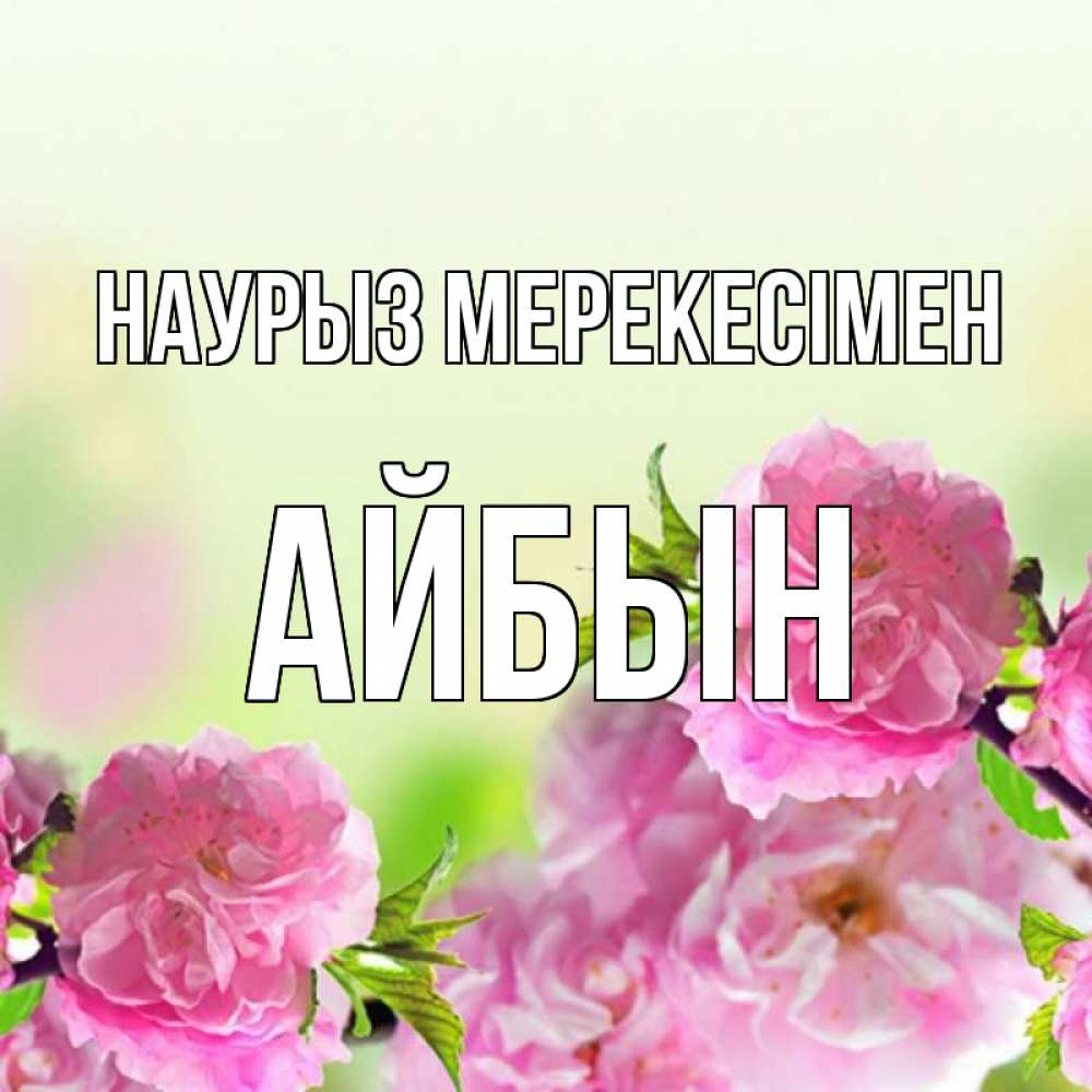 Күн сайын ашық хат с именем, Айбын Наурыз мерекесімен цветы Онлайн тегін жүктеп алу тілектері бар керемет карта 