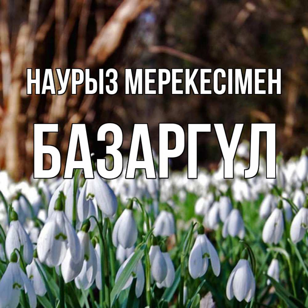 Күн сайын ашық хат с именем, БАЗАРГҮЛ Наурыз мерекесімен с подснежниками 1 Онлайн тегін жүктеп алу тілектері бар керемет карта 