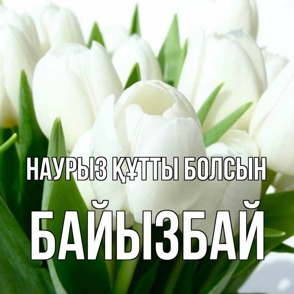 Күн сайын ашық хат с именем, Байызбай Наурыз құтты болсын цветы Онлайн тегін жүктеп алу тілектері бар керемет карта 