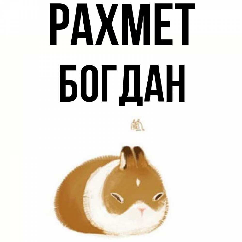 Күн сайын ашық хат с именем, Богдан рахмет коричнево белый домашний питомец Онлайн тегін жүктеп алу тілектері бар керемет карта 