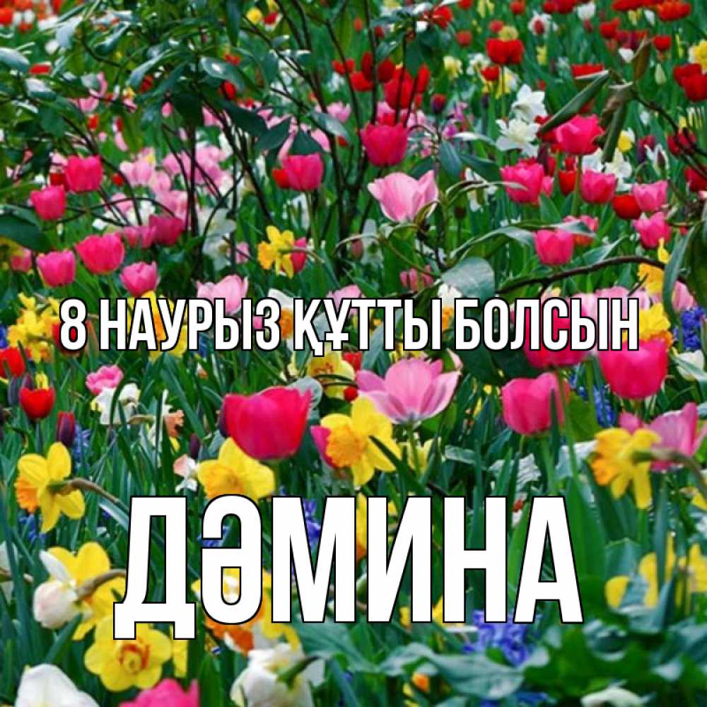 Күн сайын ашық хат с именем, ДӘМИНА 8 наурыз құтты болсын с международным женским днем поздравления для женщины Онлайн тегін жүктеп алу тілектері бар керемет карта 