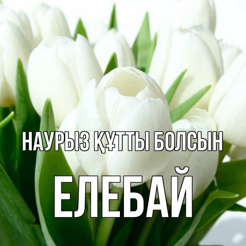 Күн сайын ашық хат с именем, Елебай Наурыз құтты болсын цветы Онлайн тегін жүктеп алу тілектері бар керемет карта 