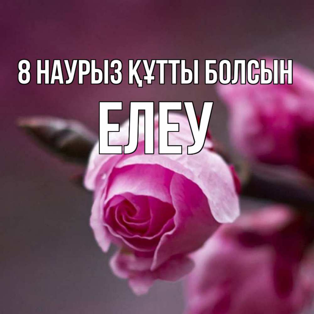 Күн сайын ашық хат с именем, Елеу 8 наурыз құтты болсын весна Онлайн тегін жүктеп алу тілектері бар керемет карта 