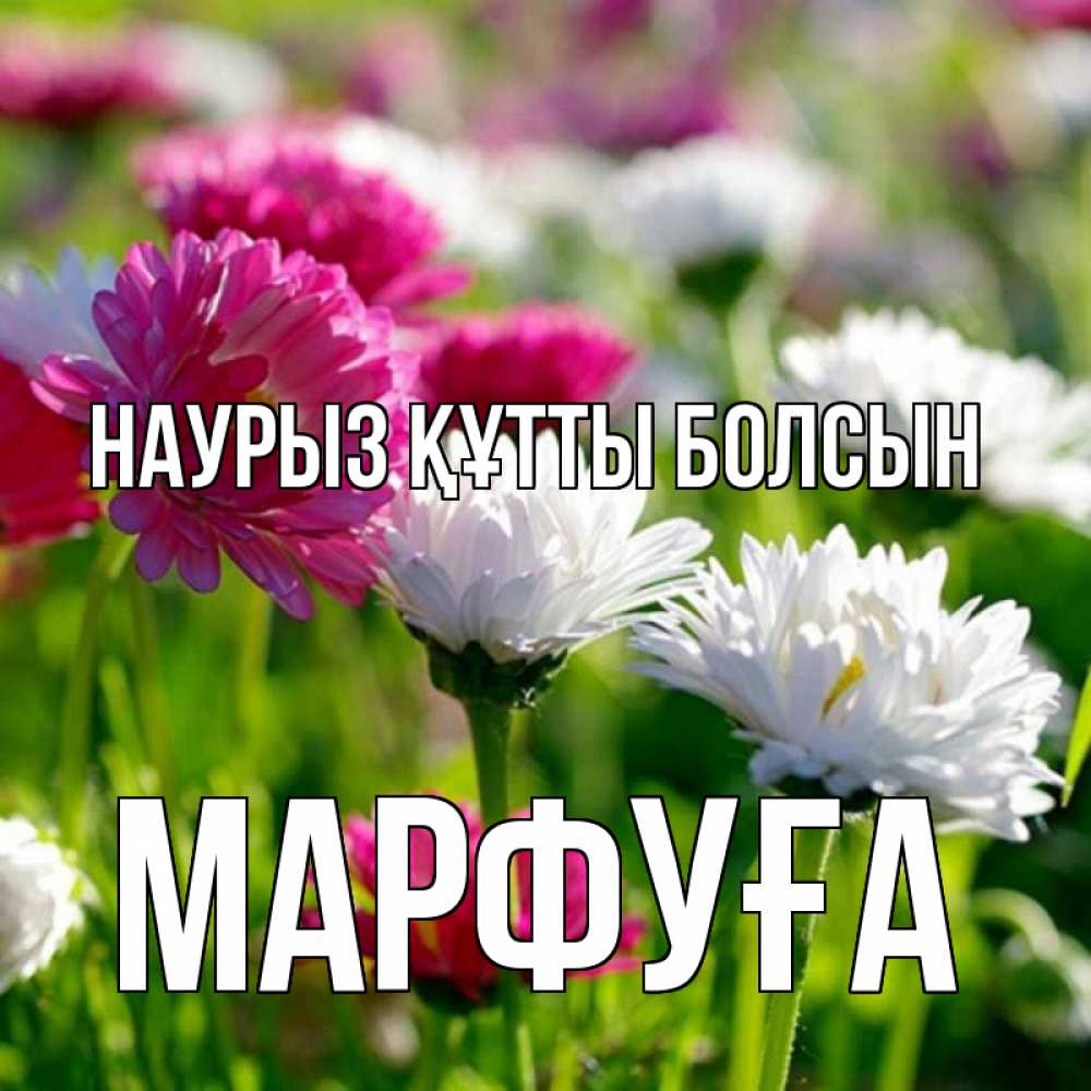 Күн сайын ашық хат с именем, МАРФУҒА Наурыз құтты болсын наурыз Онлайн тегін жүктеп алу тілектері бар керемет карта 