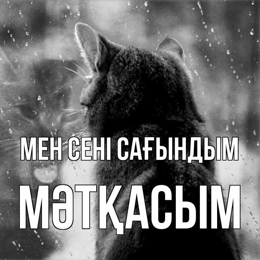 Күн сайын ашық хат с именем, МӘТҚАСЫМ Мен сені сағындым скорее ко мне приходи 1 Онлайн тегін жүктеп алу тілектері бар керемет карта 