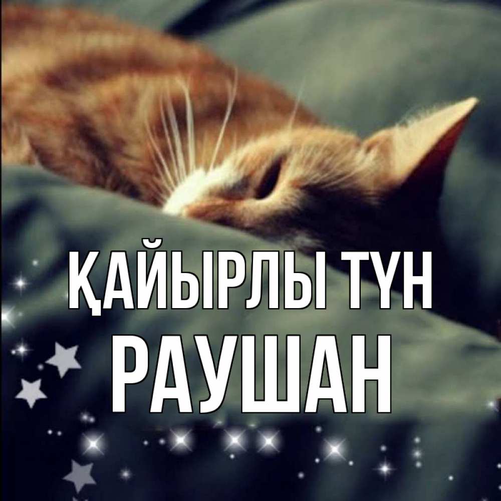 Күн сайын ашық хат с именем, РАУШАН Қайырлы түн кроватка Онлайн тегін жүктеп алу тілектері бар керемет карта 