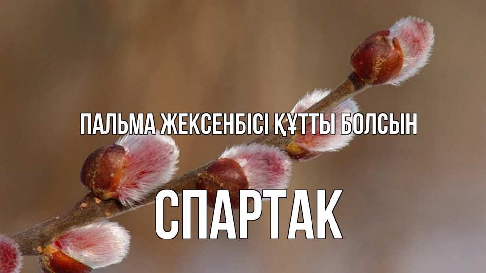 Күн сайын ашық хат с именем, Спартак Пальма жексенбісі құтты болсын верба Онлайн тегін жүктеп алу тілектері бар керемет карта 