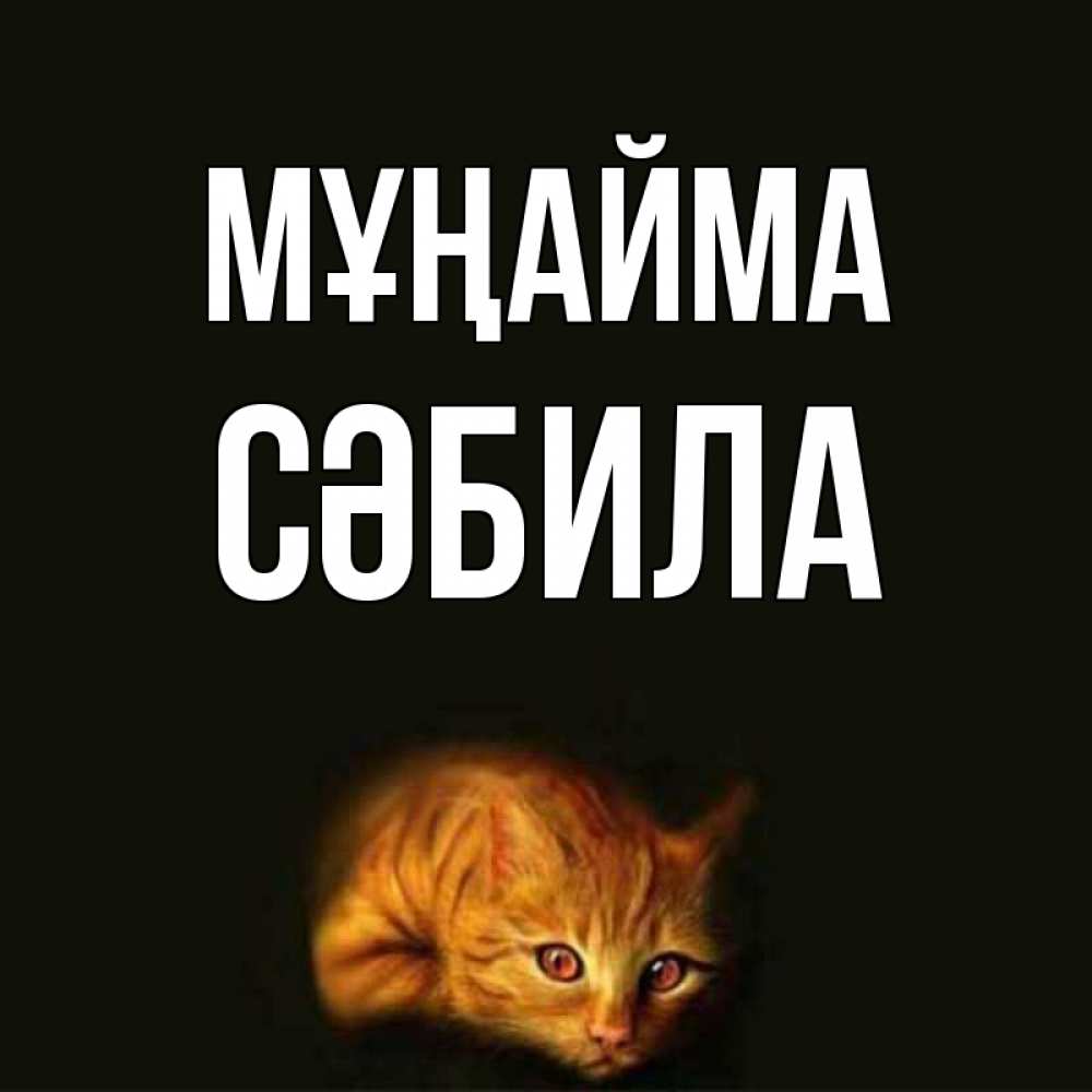 Күн сайын ашық хат с именем, СӘБИЛА Мұңайма лежащий кот в темноте Онлайн тегін жүктеп алу тілектері бар керемет карта 
