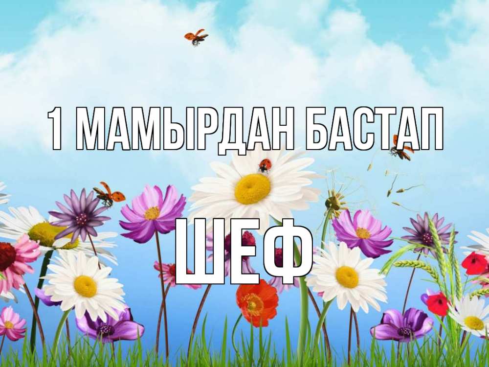 Күн сайын ашық хат с именем, Шеф 1 мамырдан бастап С 1 мая Онлайн тегін жүктеп алу тілектері бар керемет карта 