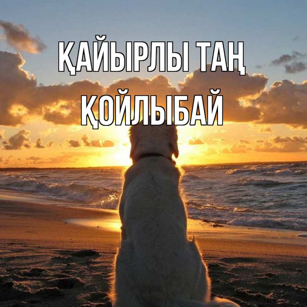 Күн сайын ашық хат с именем, Қойлыбай Қайырлы таң восход солнца Онлайн тегін жүктеп алу тілектері бар керемет карта 