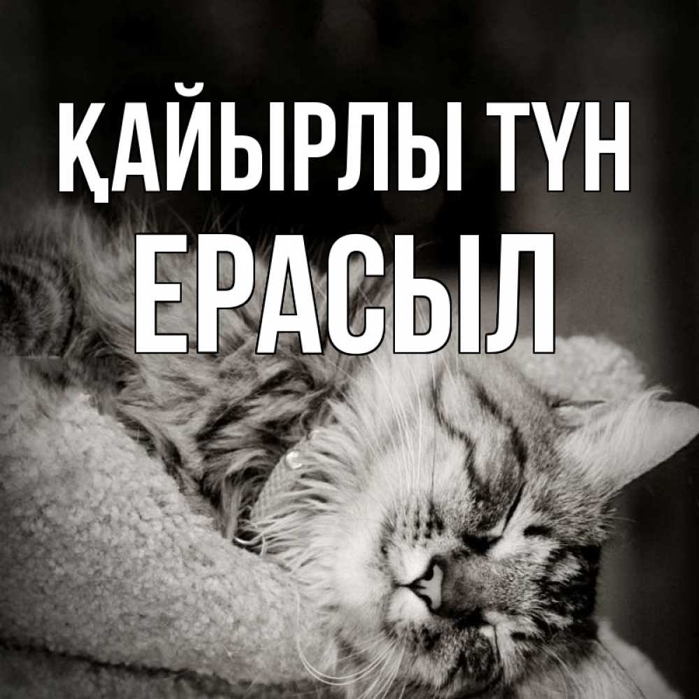 Күн сайын ашық хат с именем, Ерасыл Қайырлы түн котярик пушистый Онлайн тегін жүктеп алу тілектері бар керемет карта 