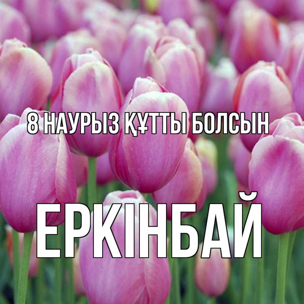 Күн сайын ашық хат с именем, Еркінбай 8 наурыз құтты болсын на международный женский день 3 Онлайн тегін жүктеп алу тілектері бар керемет карта 