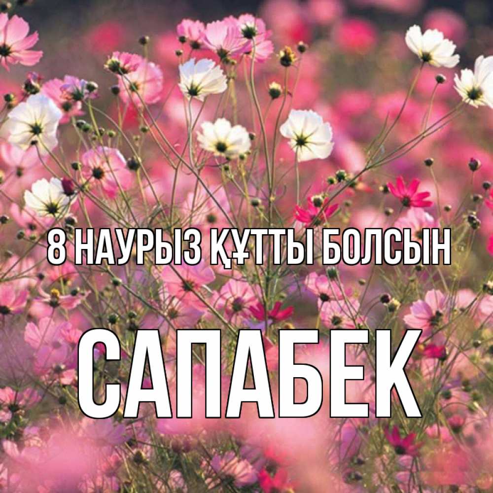 Күн сайын ашық хат с именем, САПАБЕК 8 наурыз құтты болсын красиво 1 Онлайн тегін жүктеп алу тілектері бар керемет карта 