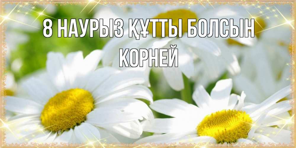 Күн сайын ашық хат с именем, Корней 8 наурыз құтты болсын красивые открытки с белыми цветами на международный женский день Онлайн тегін жүктеп алу тілектері бар керемет карта 