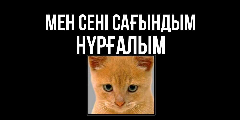 Күн сайын ашық хат с именем, НҮРҒАЛЫМ Мен сені сағындым открытки рыжий котенок скучает по тебе Онлайн тегін жүктеп алу тілектері бар керемет карта 
