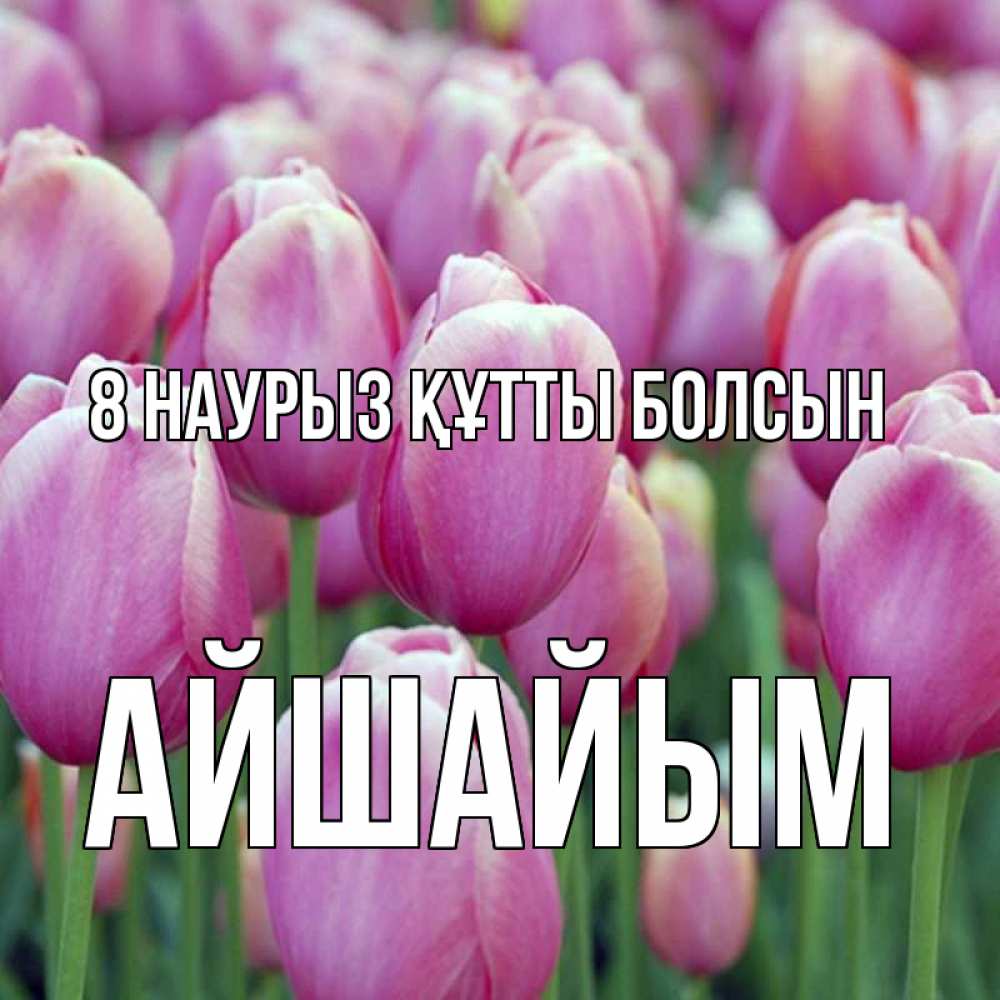 Күн сайын ашық хат с именем, АЙШАЙЫМ 8 наурыз құтты болсын на международный женский день 3 Онлайн тегін жүктеп алу тілектері бар керемет карта 