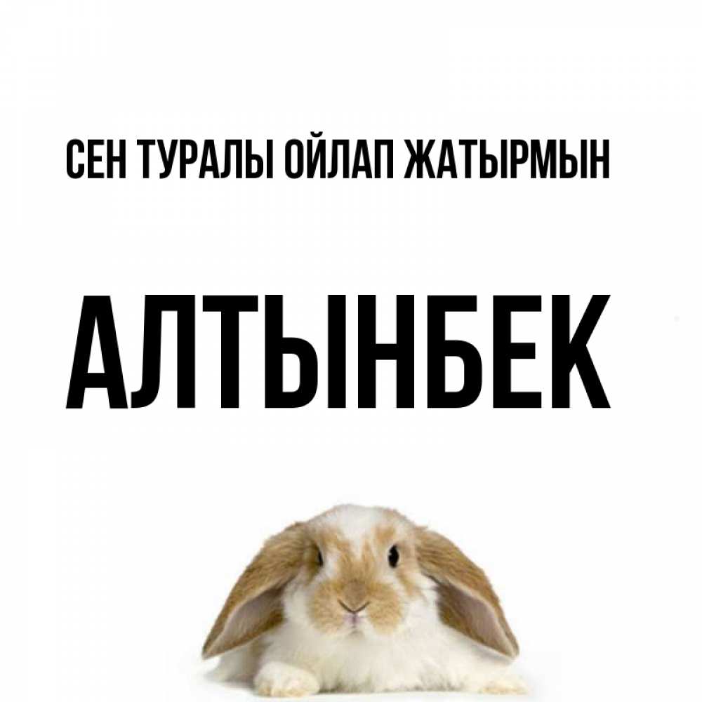 Күн сайын ашық хат с именем, Алтынбек Сен туралы ойлап жатырмын подписать своими руками онлайн Онлайн тегін жүктеп алу тілектері бар керемет карта 