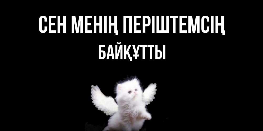 Күн сайын ашық хат с именем, Байқұтты Сен менің періштемсің Кот ангел Онлайн тегін жүктеп алу тілектері бар керемет карта 