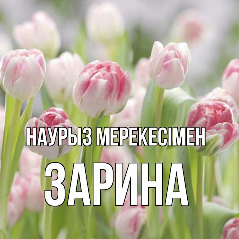 Күн сайын ашық хат с именем, ЗАРИНА Наурыз мерекесімен цветы Онлайн тегін жүктеп алу тілектері бар керемет карта 