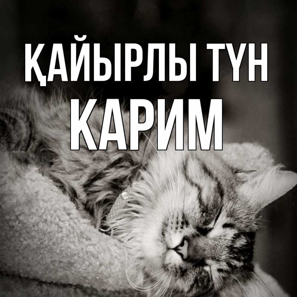 Күн сайын ашық хат с именем, Карим Қайырлы түн котярик пушистый Онлайн тегін жүктеп алу тілектері бар керемет карта 
