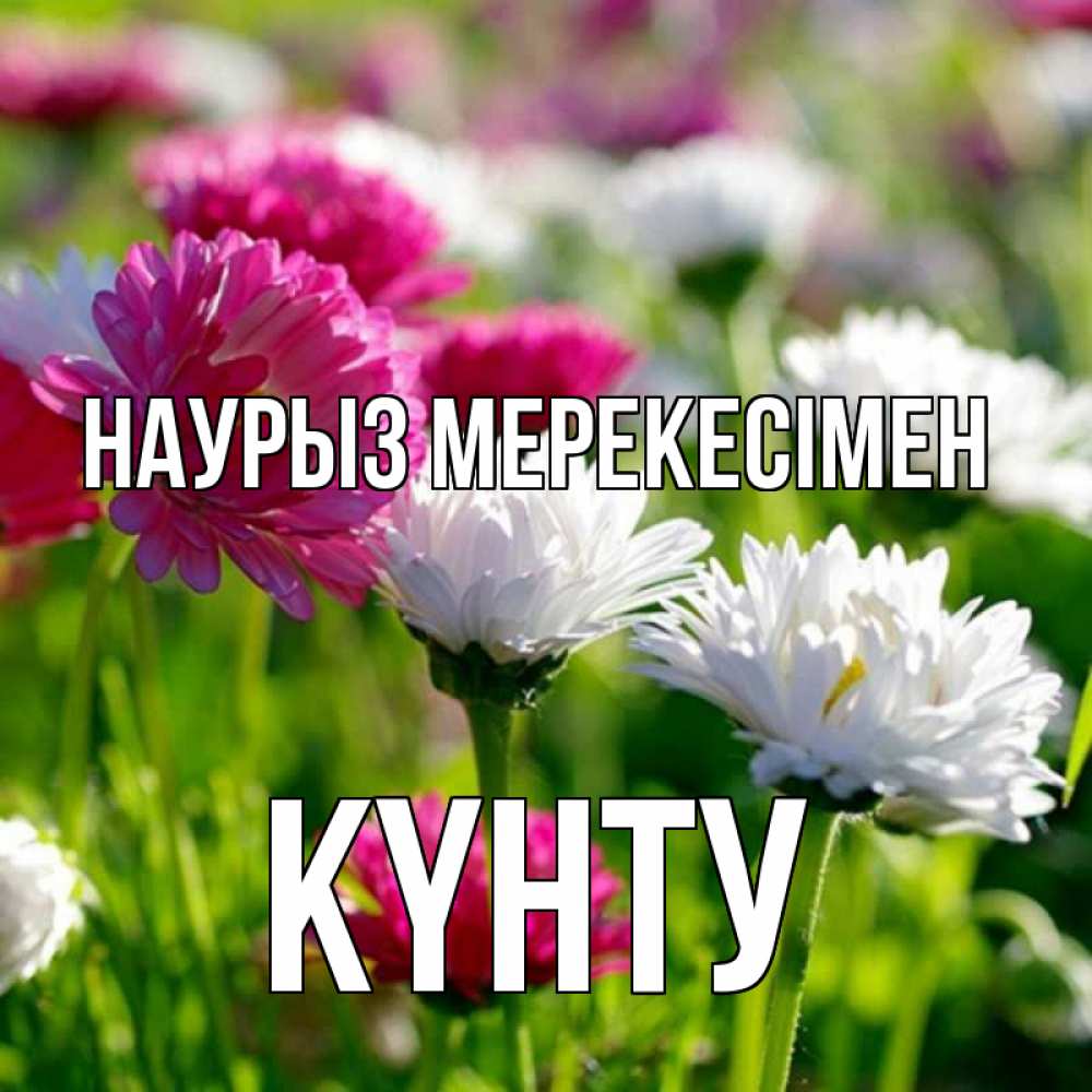 Күн сайын ашық хат с именем, Күнту Наурыз мерекесімен праздник весны наурыз красота Онлайн тегін жүктеп алу тілектері бар керемет карта 