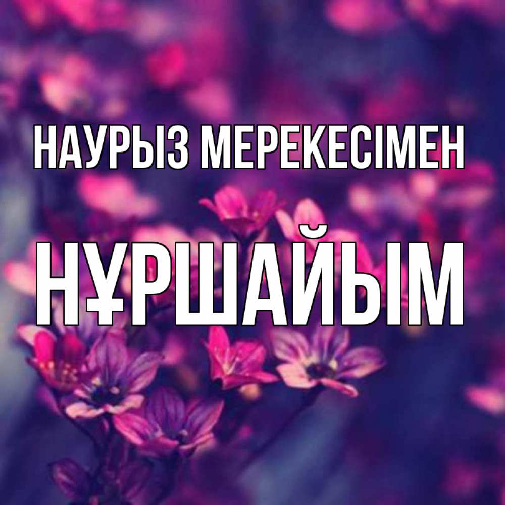 Күн сайын ашық хат с именем, НҰРШАЙЫМ Наурыз мерекесімен небольшие цветы 1 Онлайн тегін жүктеп алу тілектері бар керемет карта 