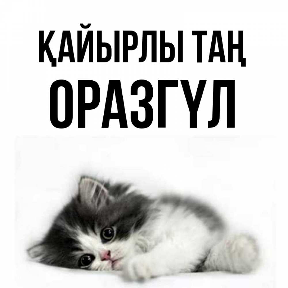 Күн сайын ашық хат с именем, ОРАЗГҮЛ Қайырлы таң кот лапки Онлайн тегін жүктеп алу тілектері бар керемет карта 
