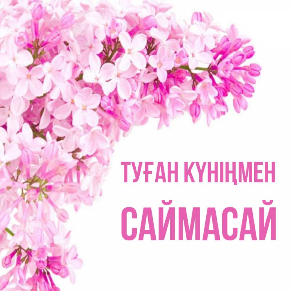 Күн сайын ашық хат с именем, САЙМАСАЙ Туған күніңмен Сирень на белом фоне Онлайн тегін жүктеп алу тілектері бар керемет карта 