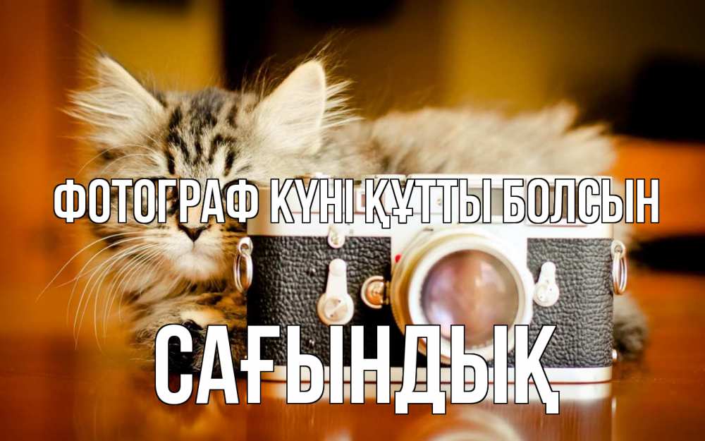 Күн сайын ашық хат с именем, САҒЫНДЫҚ Фотограф күні құтты болсын с днем фотографа Онлайн тегін жүктеп алу тілектері бар керемет карта 