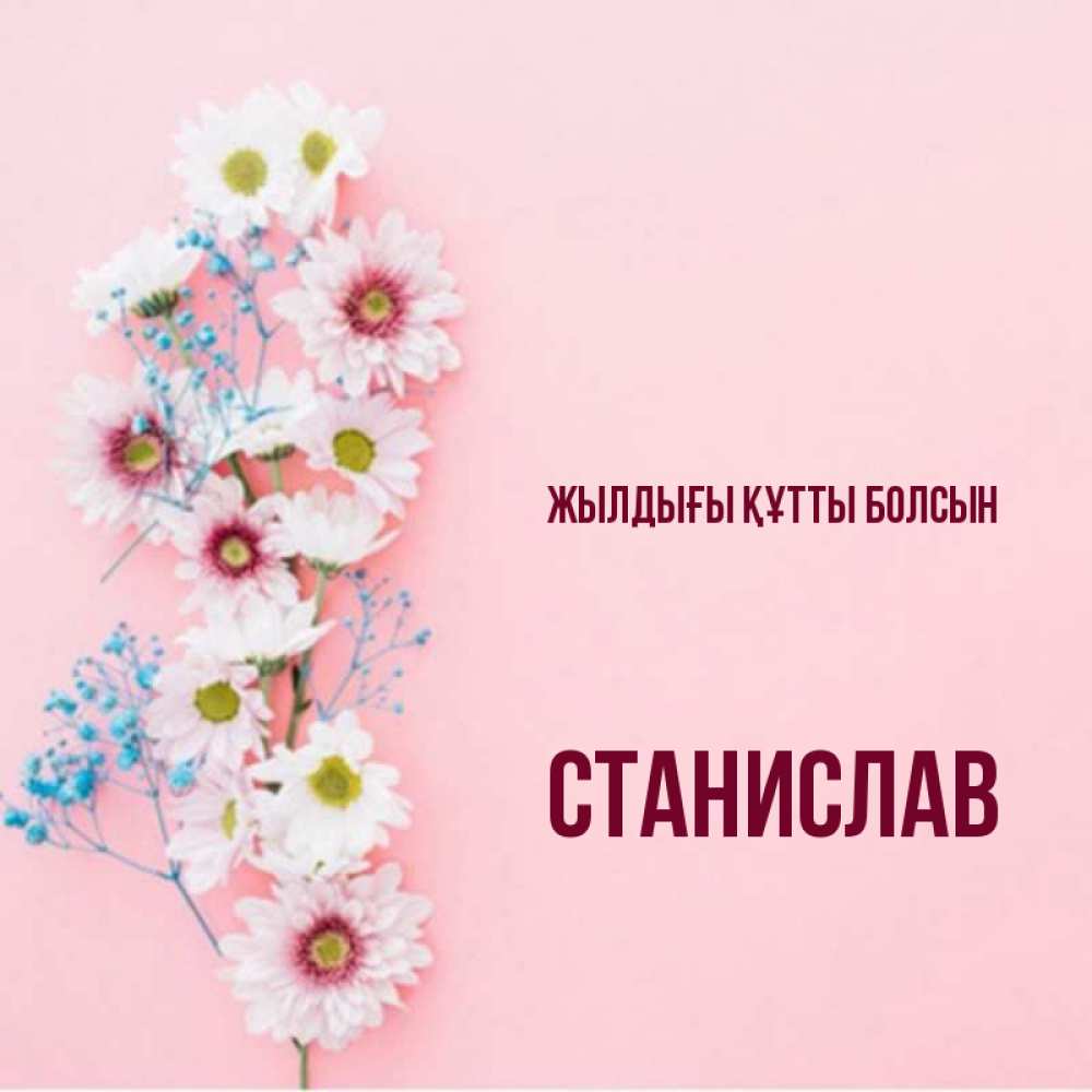 Күн сайын ашық хат с именем, Станислав Жылдығы құтты болсын Родная моя с днем рождения тебя картинка с цветами белыми и голубыми Онлайн тегін жүктеп алу тілектері бар керемет карта 